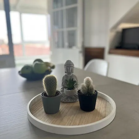 Appartement Atico En El Centro De